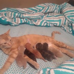 Meet your Posher, Michelle